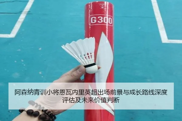 阿森纳青训小将恩瓦内里英超出场前景与成长路线深度评估及未来价值判断